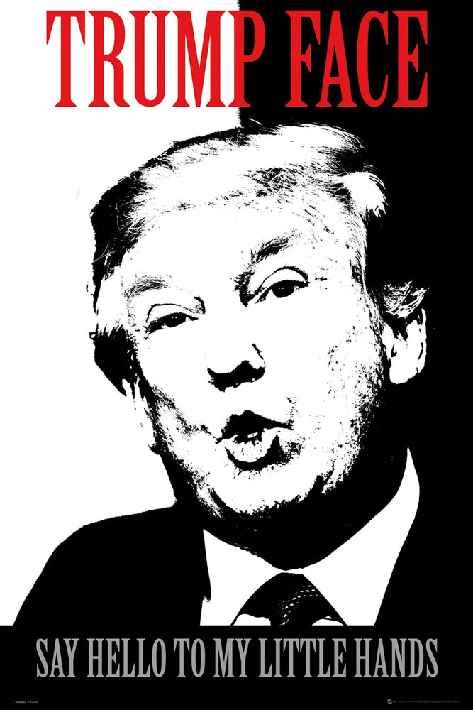 Trump Face Say Hello To My Little Hands Maxi Poster