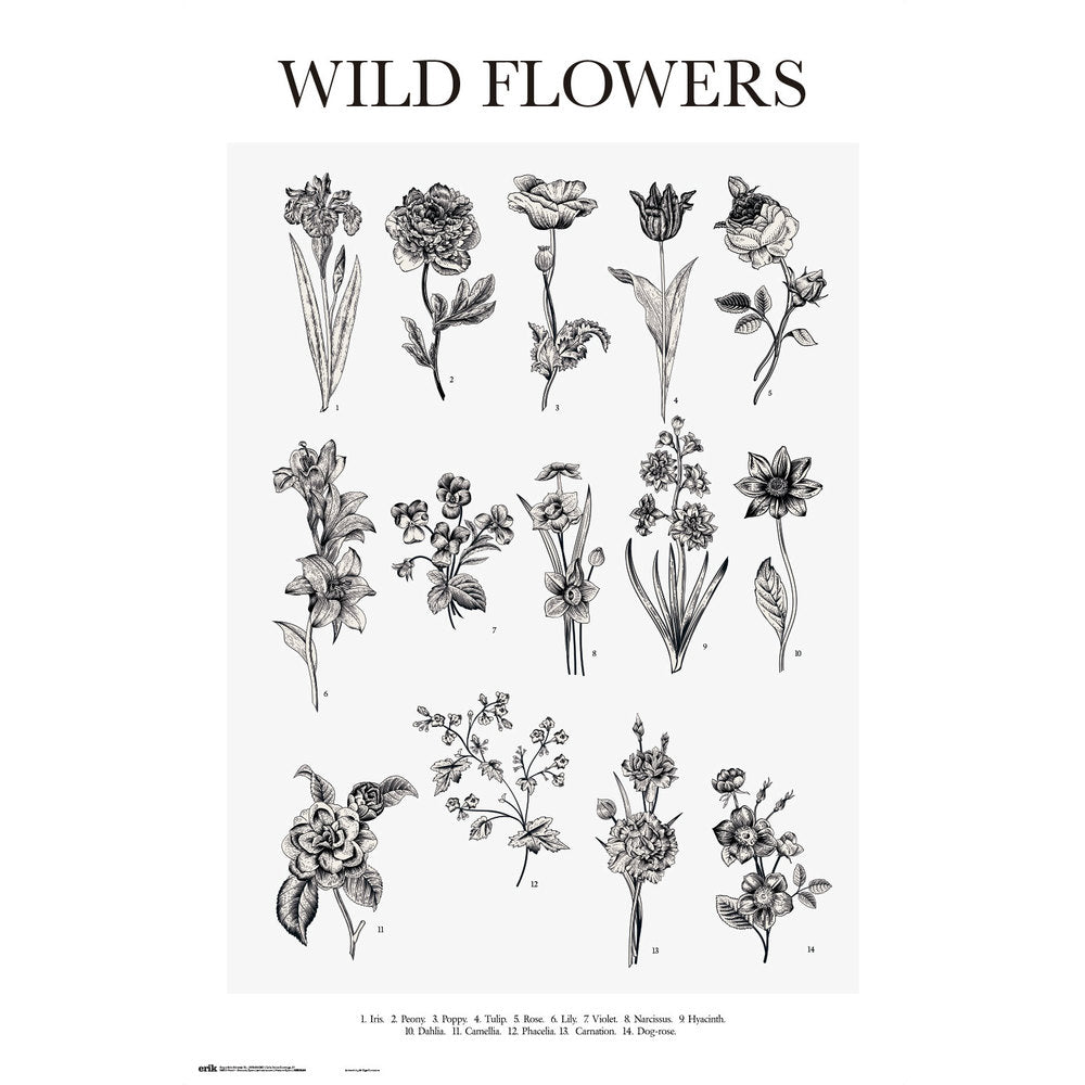Wild Flowers Black & White Montage 14 Various Species Maxi Poster