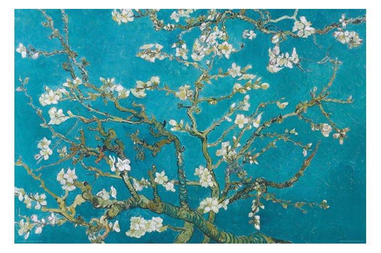 Vincent Van Gogh Almond Blossom Art Maxi Poster