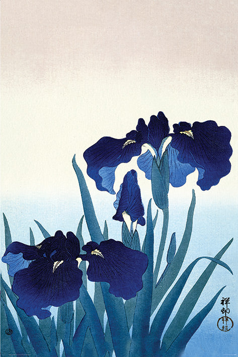 Ohara Koson Iris Flowers Art Maxi Poster