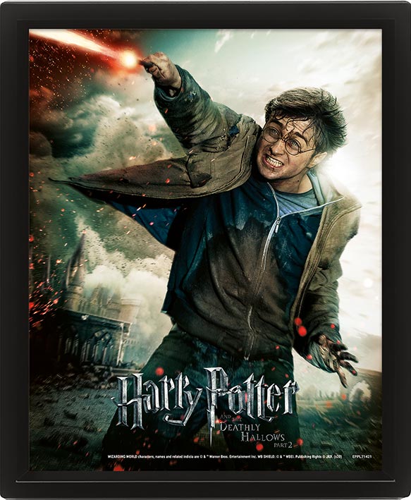 Harry Potter Expelliarmus Framed 10 x 8 inch 3D Lenticular Poster