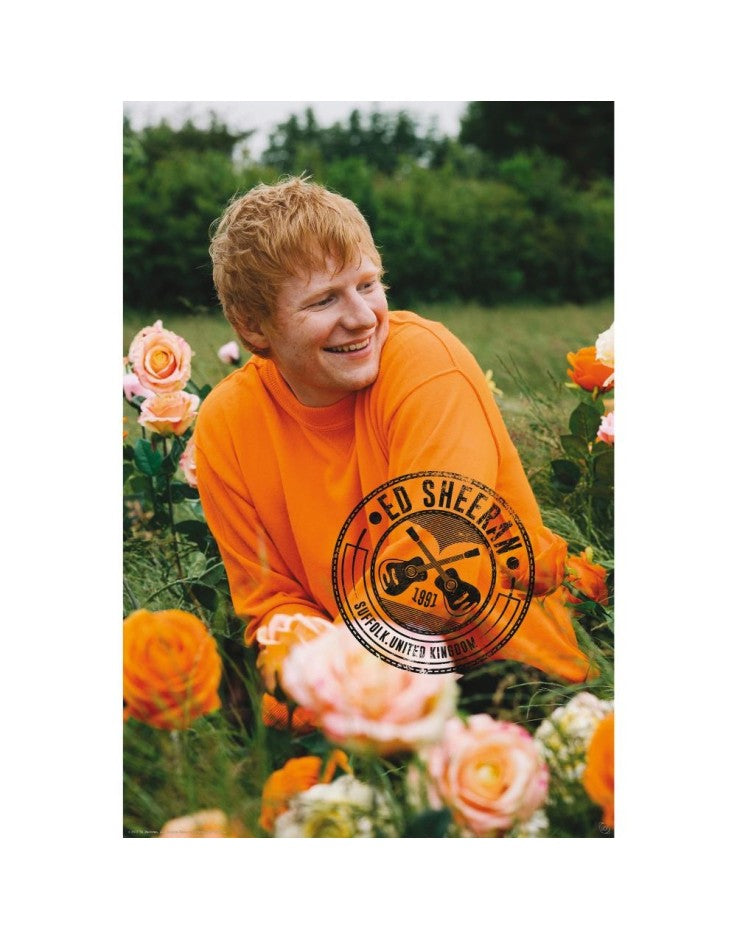 Ed Sheeran Rose Field Maxi Poster