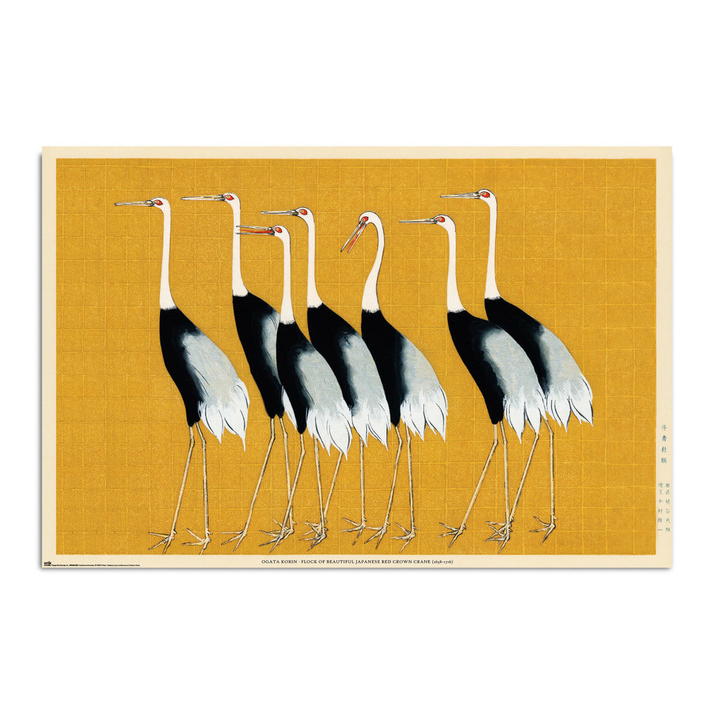 Flock Of Beautiful Japanese Red Crown Crane by Ogata Korin Art Maxi Poster