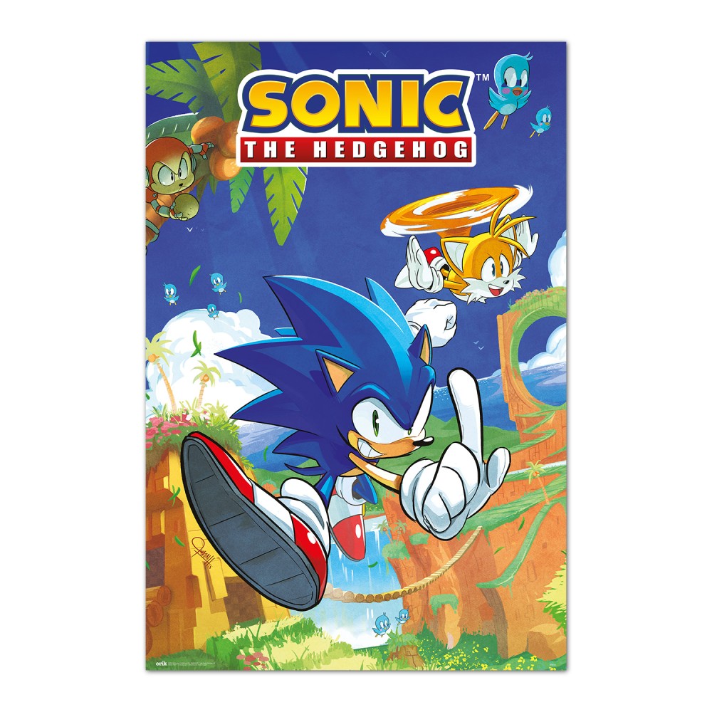 Sonic The Hedgehog And Tails Gaming Maxi Poster