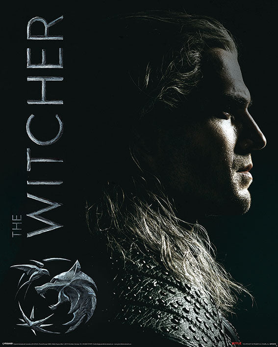 The Witcher Shadows Embrace 40x50cm Mini Poster