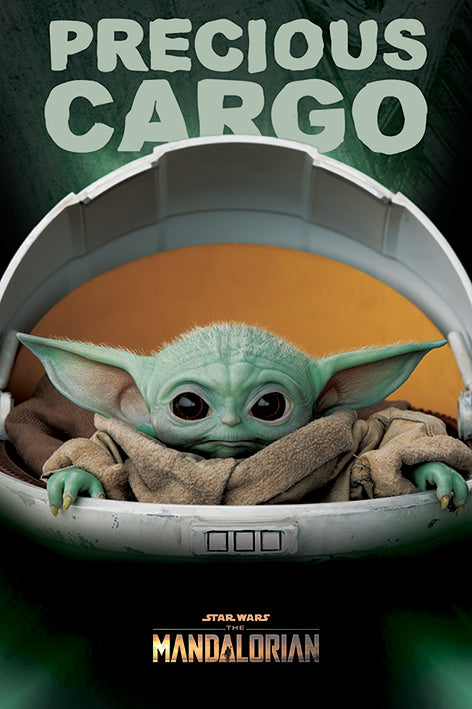 Star Wars : The Mandalorian Precious Cargo Maxi Poster