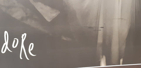 The Smashing Pumpkins Adore Album 102x152cm Giant Promotional Poster