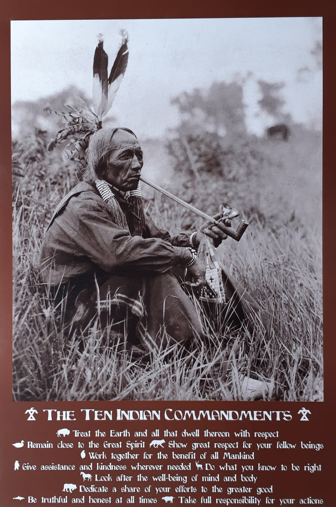 The Ten Indian Commandments Maxi Poster Blockmount