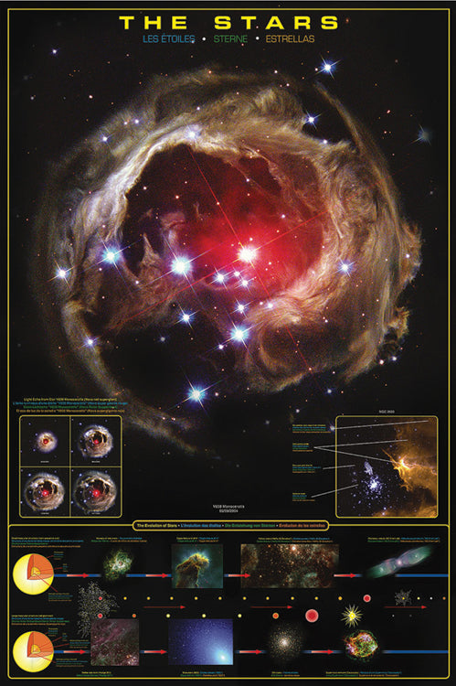 The Stars Facts Maxi Poster