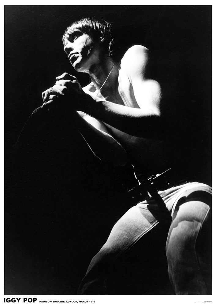 Iggy Pop Rainbow Theatre London March 1977 Maxi Poster