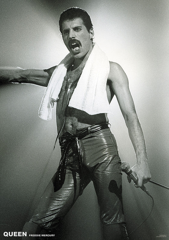 Freddie Mercury Live On Stage Maxi Poster