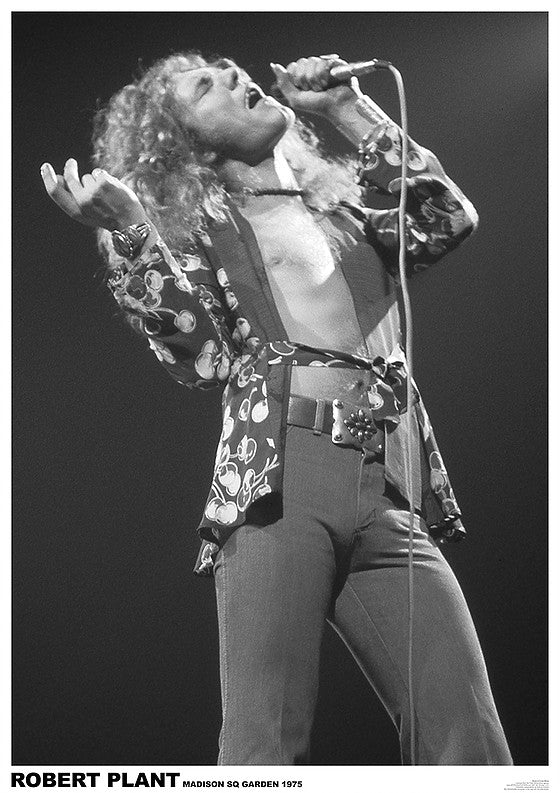 Robert Plant Live Madison Square Garden 1975 Maxi Poster