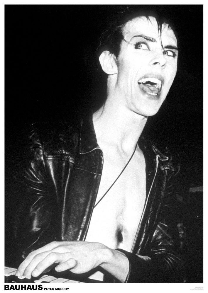 Bauhaus Peter Murphy Black & White Maxi Poster