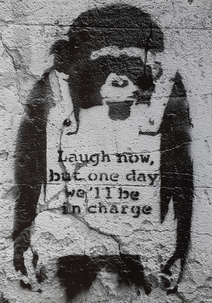 Banksy Monkey Laugh Now A2 Maxi Poster