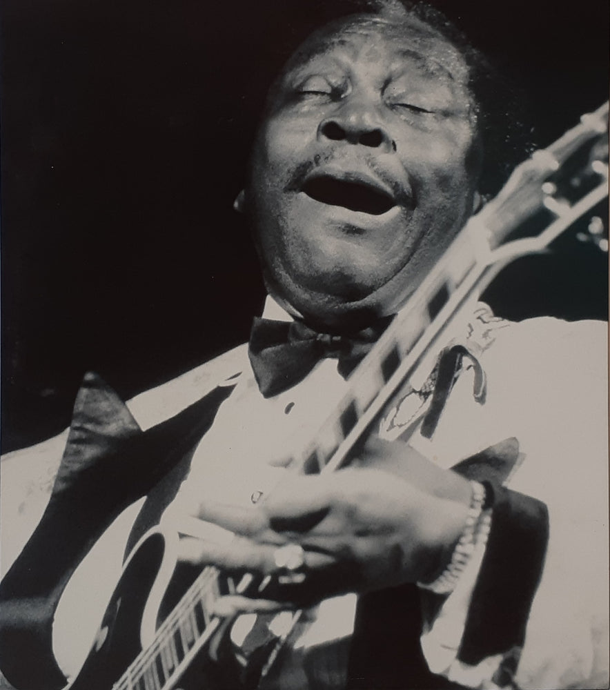 BB King Playing Live B&W Mini Poster Blockmount