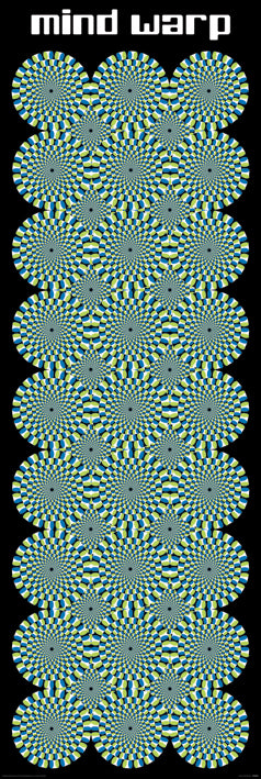Mind Warp Trippy Optical Illusion 158x53cm Door Poster