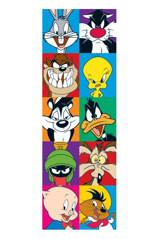 Looney Tunes Characters Montage 158x53cm Door Poster