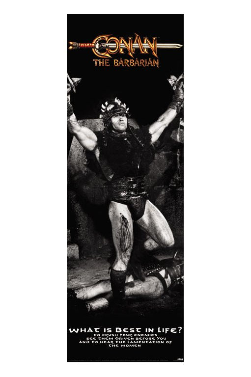 Conan The Barbarian Arnold Schwarzenegger Licensed 158x53cm Door Poster