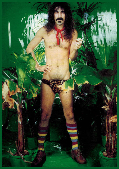 Frank Zappa Underpants Maxi Poster