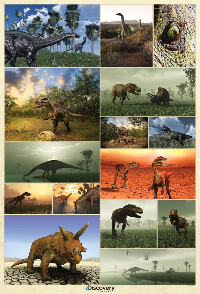 Dinosaurs Colour Collage 1.58m x 2.32m 2 Piece Medium Wallpaper Wall Mural