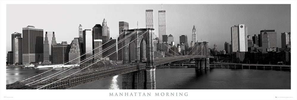 Manhattan Morning New York 158x53cm Panoramic Door Poster