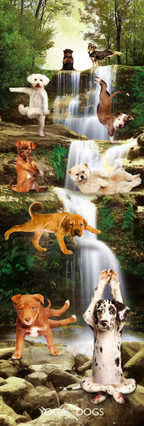 Yoga Dogs Collage 158x53cm Door Poster