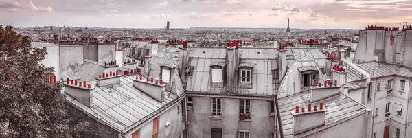 Paris France Rooftops View 158x53cm Panoramic Door Poster
