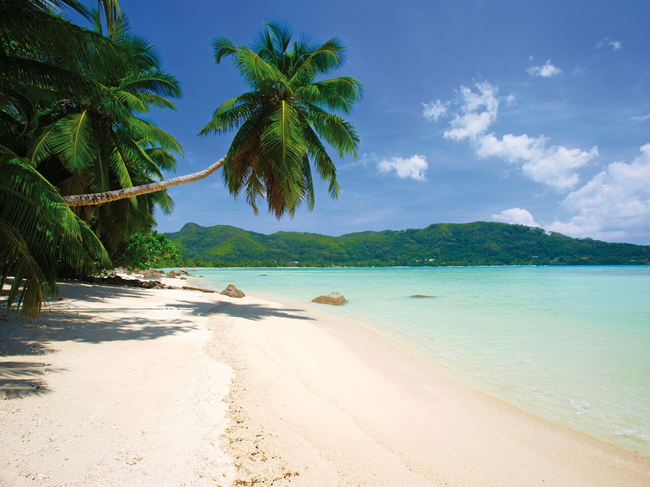 Tropical Beach Paradise 3.15m x 2.32m 4 Piece Giant Wallpaper Wall Mural