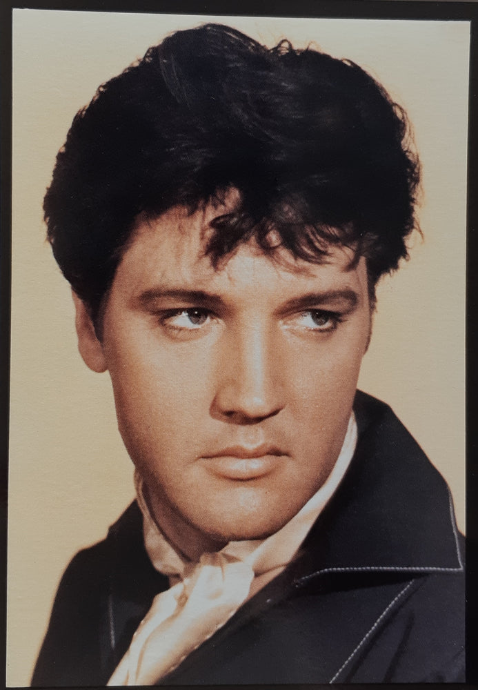Elvis Presley Colour Portrait Postcard