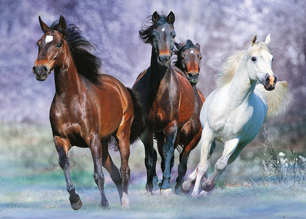 Horses Running At You 100x140cm Giant Poster