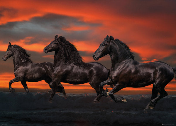 Black Fantasy Horses Running With Red Sky 100x140cm Giant Poster