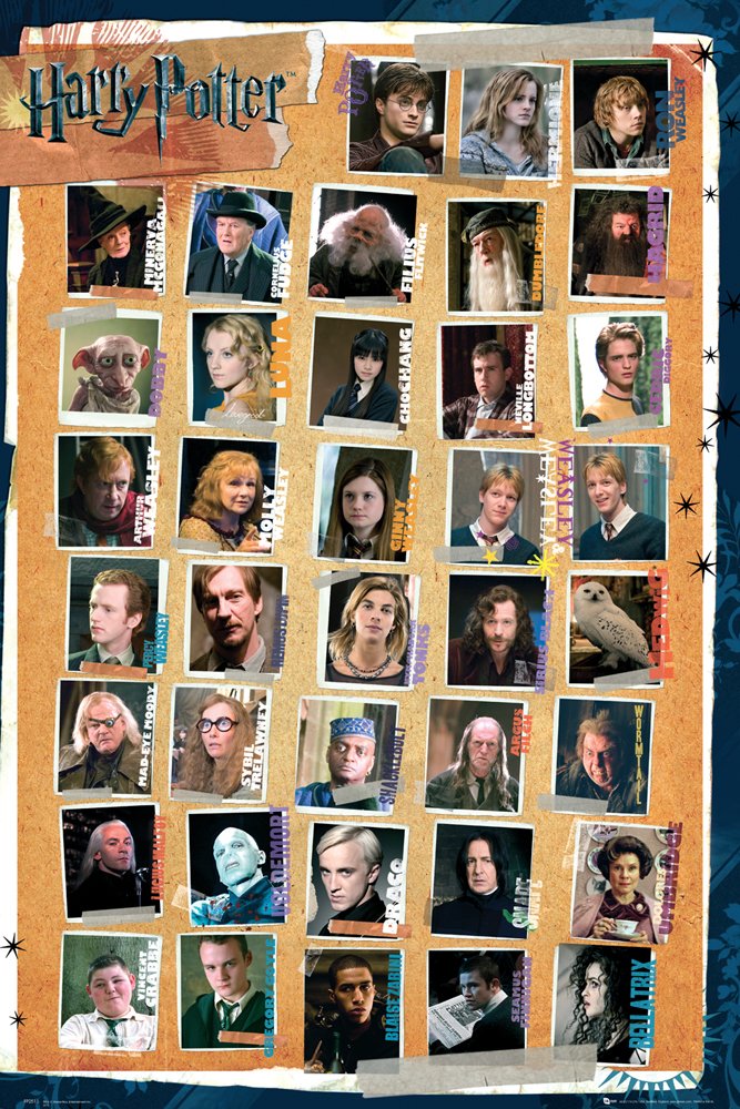 Harry Potter Movie Characters Montage Maxi Poster