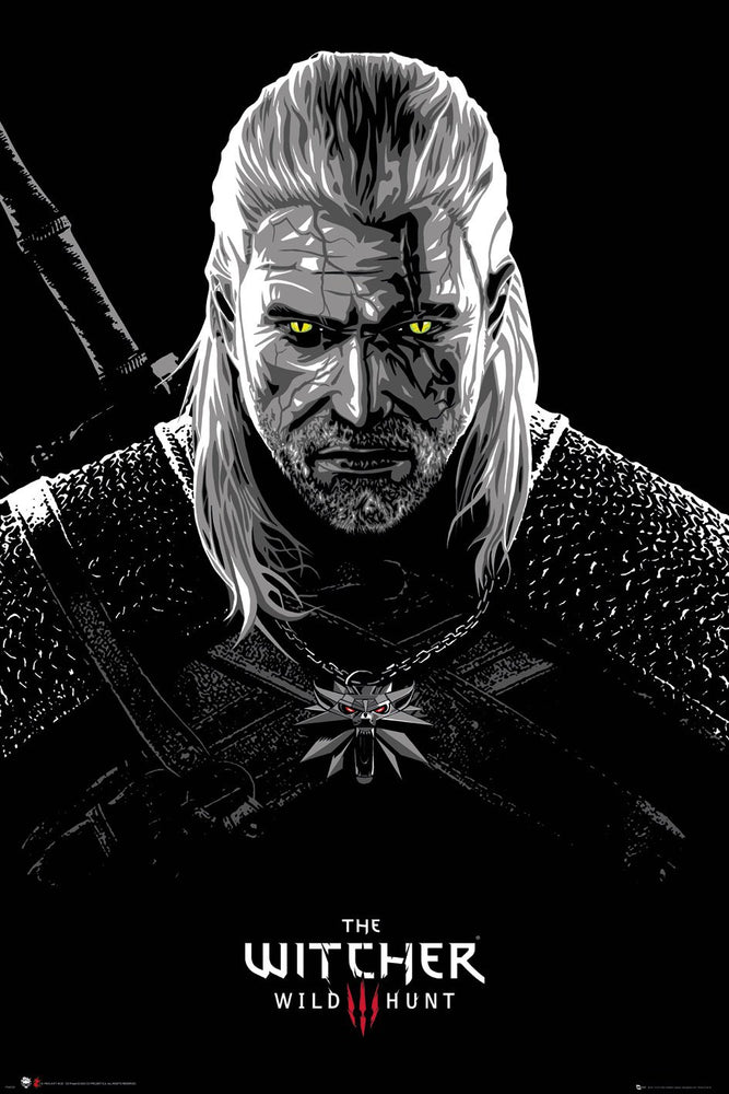 The Witcher Wild Hunt Toxicity Poisoning Fantasy TV Maxi Poster