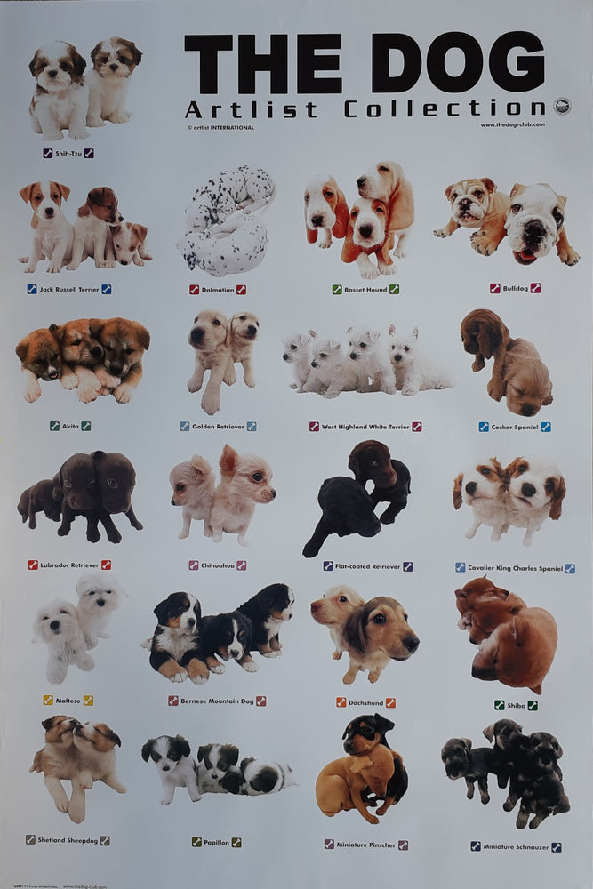 The Dog Artlist Collection Montage Of Puppies Maxi Poster