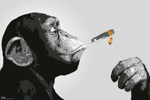 Steez Monkey Smoking Reefer Art Poster