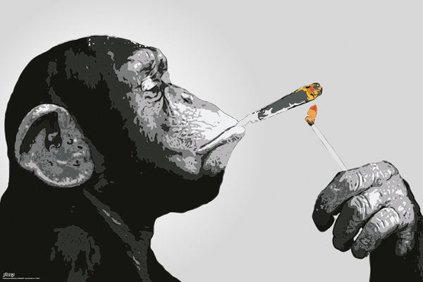 Steez Monkey Smoking Reefer Art Maxi Poster