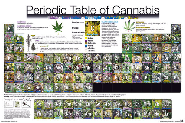 Periodic Table Of Cannabis With Photos Maxi Poster