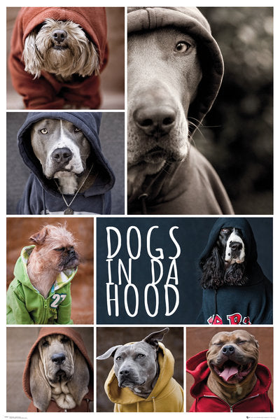 Dogs In Da Hood Maxi Poster