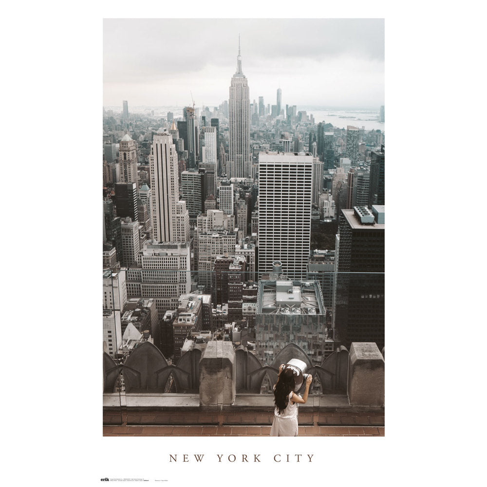 New York City View From On High Maxi Poster