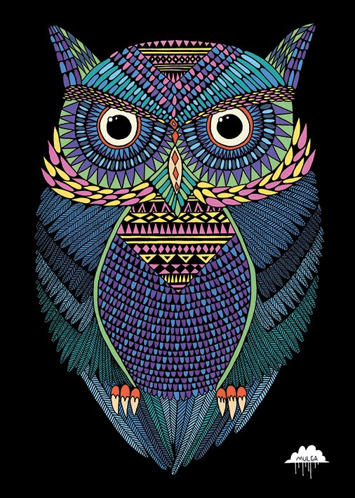 Mulga Michael The Magical Owl 100x140cm Giant Art Poster