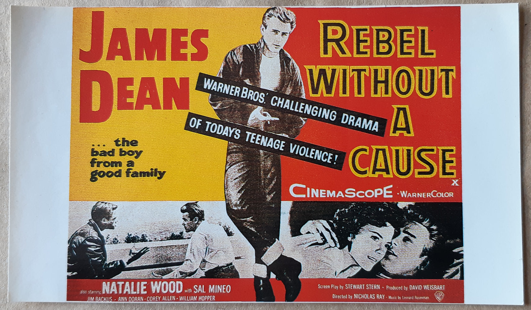James Dean Rebel Without A Cause Large Vinyl Sticker