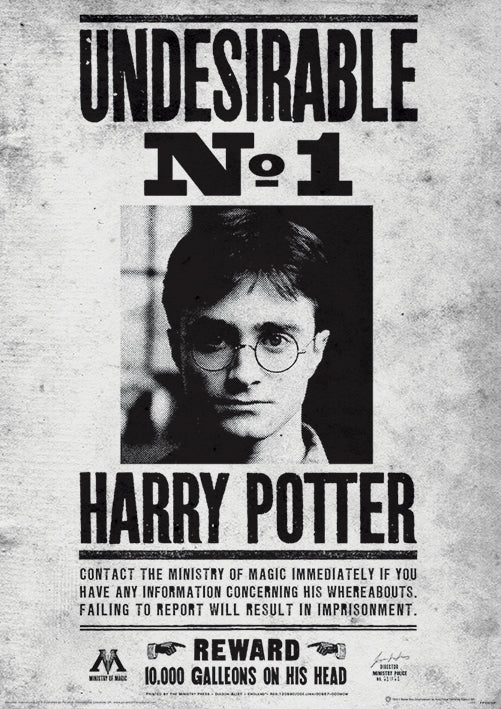 Harry Potter Undesireable No 1 30x40cm Movie Print