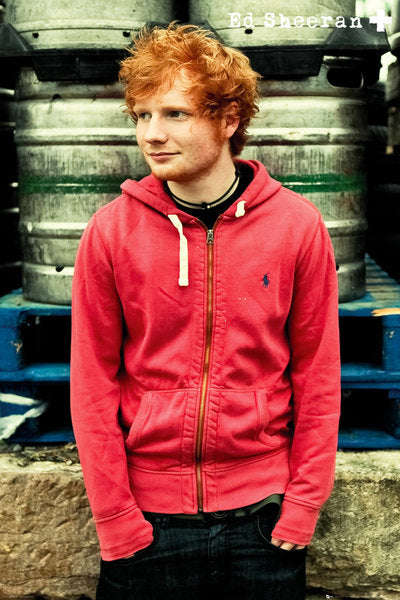 Ed Sheeran Pin Up Maxi Poster