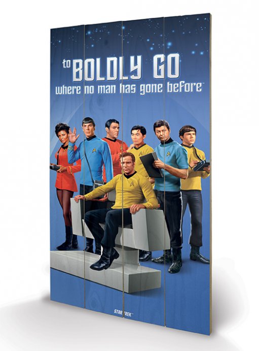 Star Trek Original Cast To Boldly Go 45cm x 76cm Large Wooden Wall Art Panel
