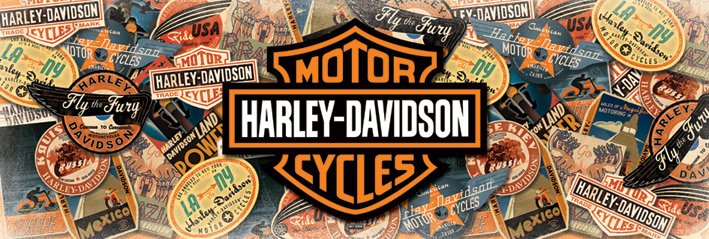Harley-Davidson Motor Cycles Travel Slim Poster
