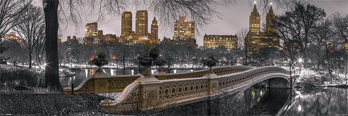 Bow Bridge Central Park New York Slim Poster