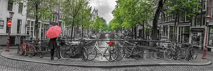 Amsterdam Canal Panoramic Slim Poster