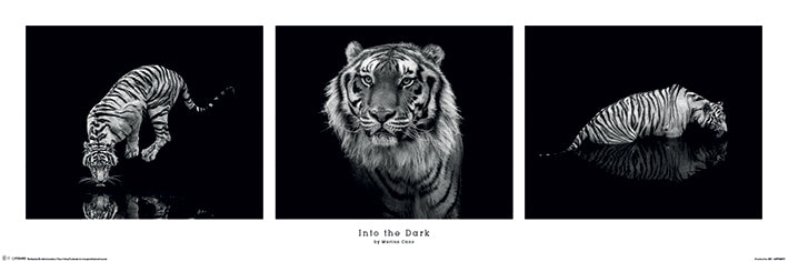 Into The Dark By Marina Cano A Tiger Triptych Slim Poster