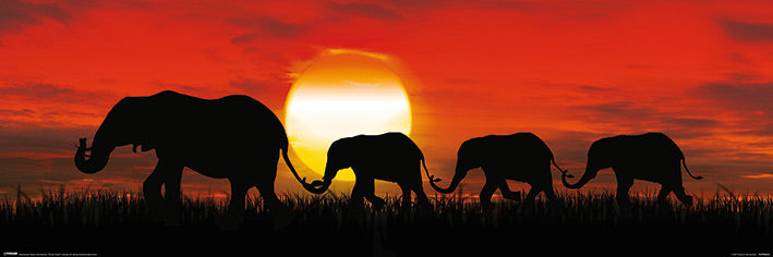 Sunset Elephants Walking Slim Poster