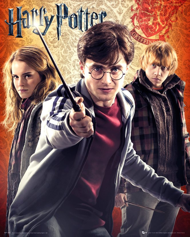 Harry Potter Trio 40x50cm Mini Poster